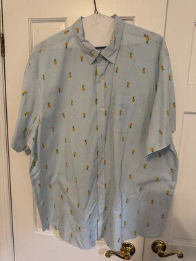 Old Navy Vintage Pineapple Built in Flex Everyday Button Down Shirt